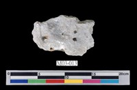 藏品(武石)的圖片